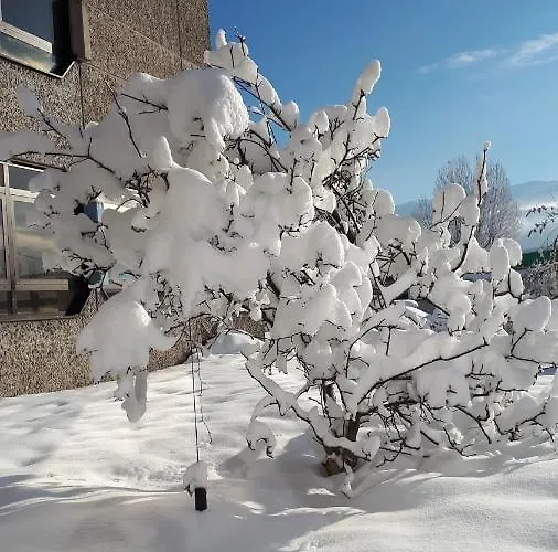 Hostel - Youth Innsbruck